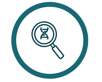 icon of magnifying glass looking at a DNA strand to illustrate discovery